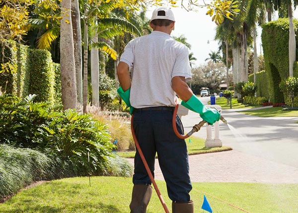 About Belle WV Pest Control